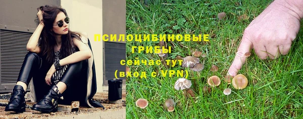 метадон Армянск