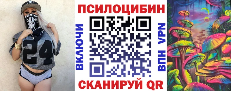 Галлюциногенные грибы Psilocybine cubensis Голицыно